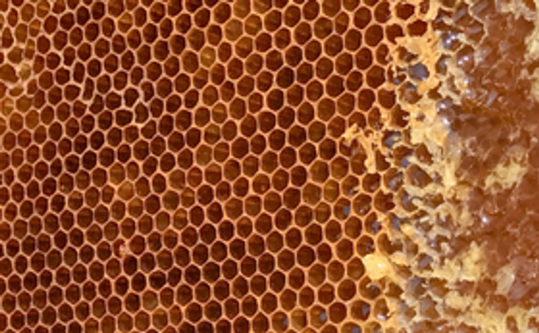 国産はちみつ　250gを得る権利