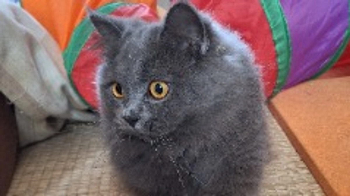 本当にありがとうございます☘️