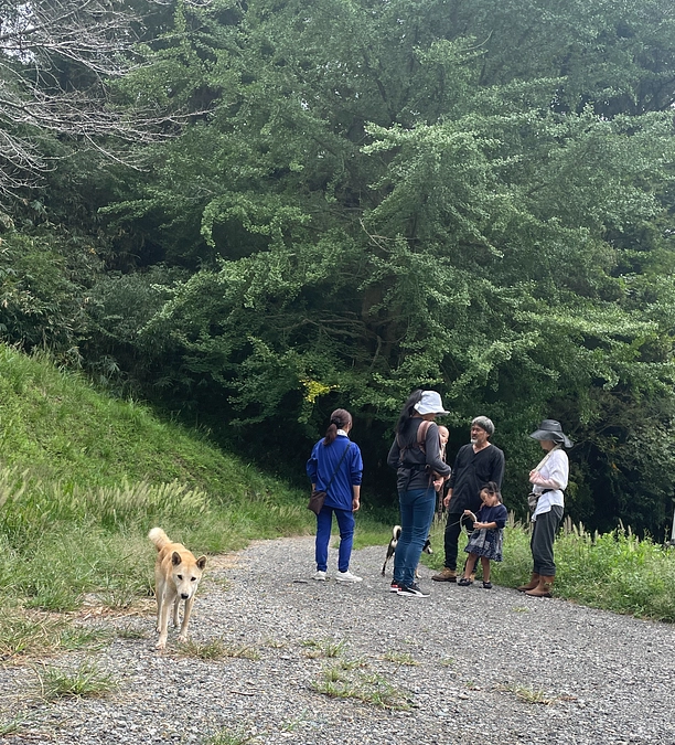 『縄文柴犬と森を歩く会』開催いたしました！