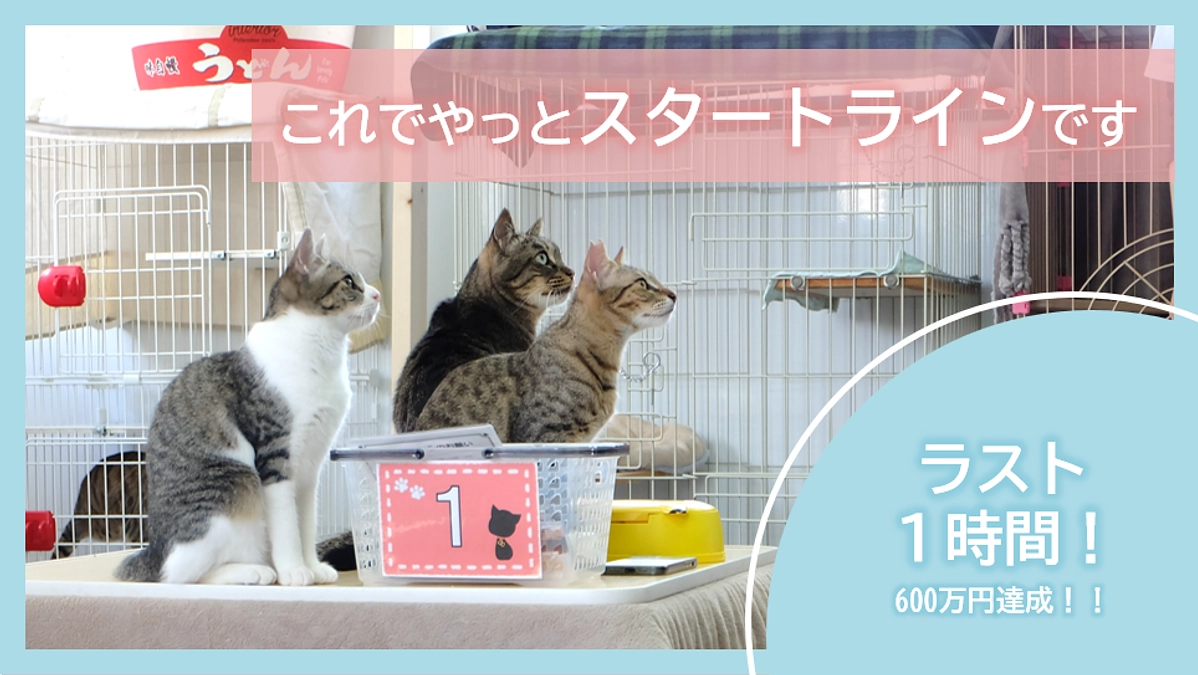 【ラスト１時間⏰】これでやっと、スタートラインです【セカンドゴールまで100万円】