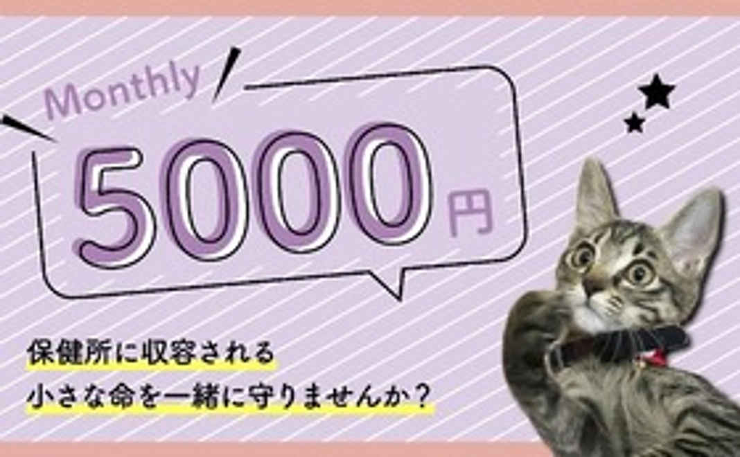 5,000円コース