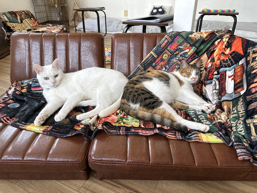 終了まで残り33時間