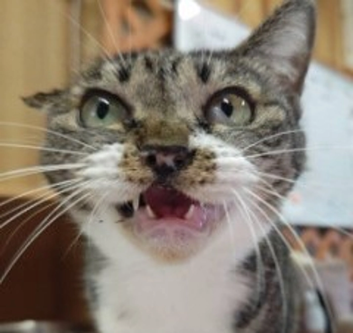 イオンチアーズクラブ見学　｜　２０２４年　今年もありがとうございました