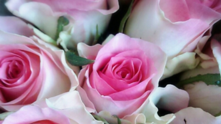 格安でお花を届けるサービスをつくりたい！