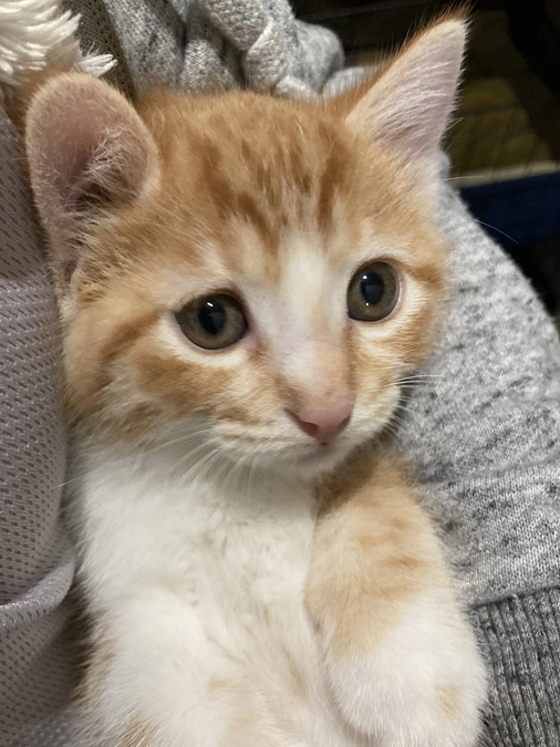 目標金額達成！！ありがとうございます