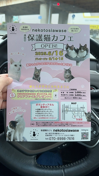 プレオープンを迎えて