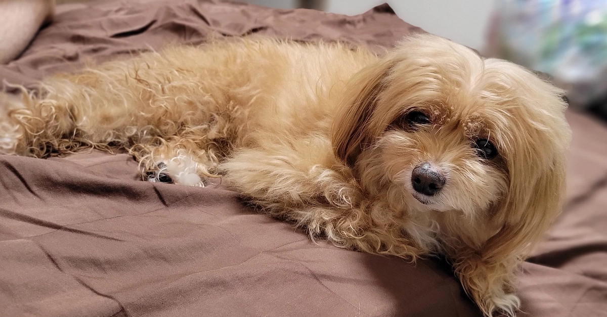 お腹の調子が悪いです・・・。