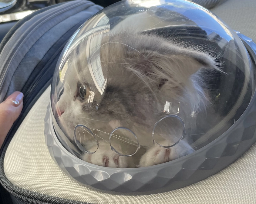 血液検査のため病院へ🌡️