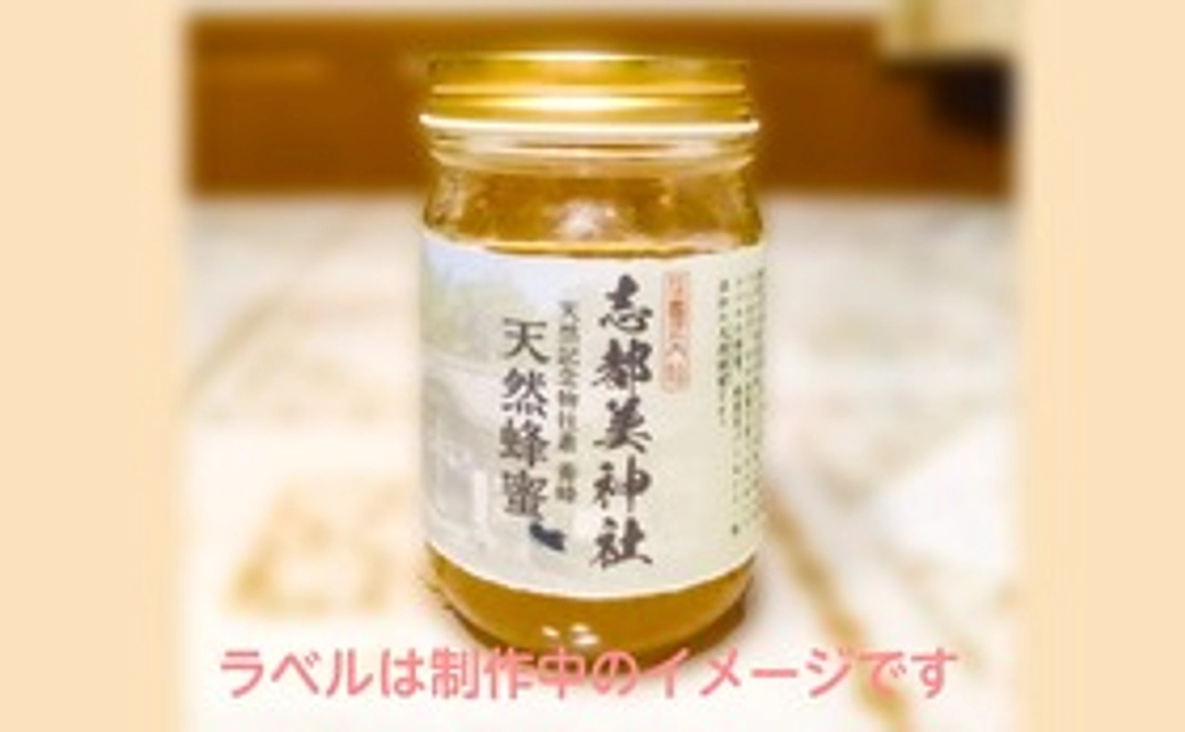文化財でもある社叢で養蜂した貴重な国産ミツバチの蜂蜜