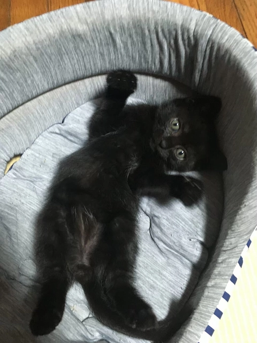 ５歳になりました🎉🎂