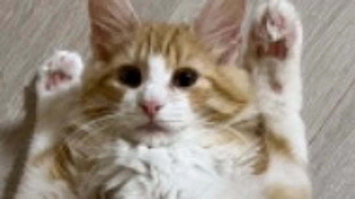 投薬30日目の様子