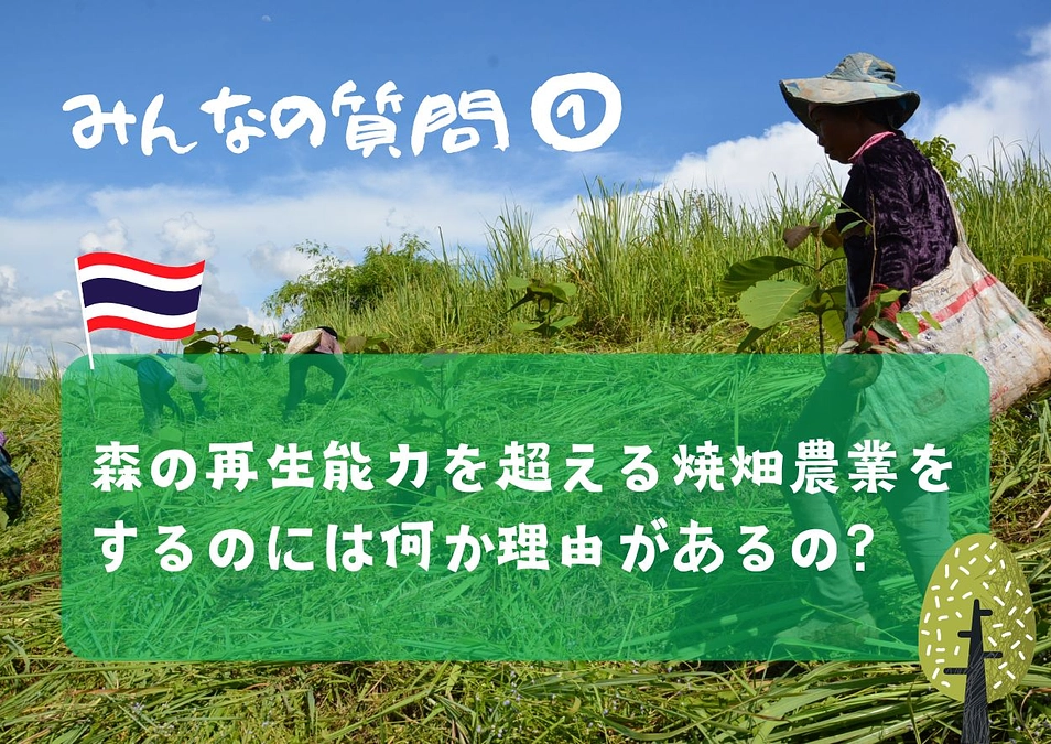 【みんなの質問①】森の再生能力を超える焼畑農業をするのには何か理由があるの？