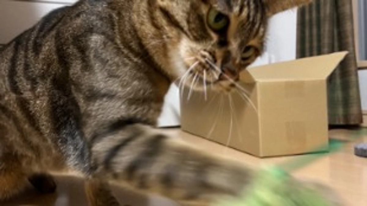 【今日のなっちゃん】5月23日