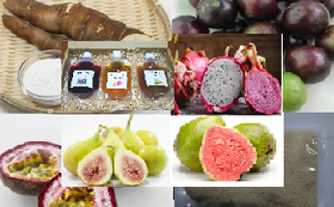 トロピカルフルーツ5種類と加工品、キャッサバ芋(45,000円相当）