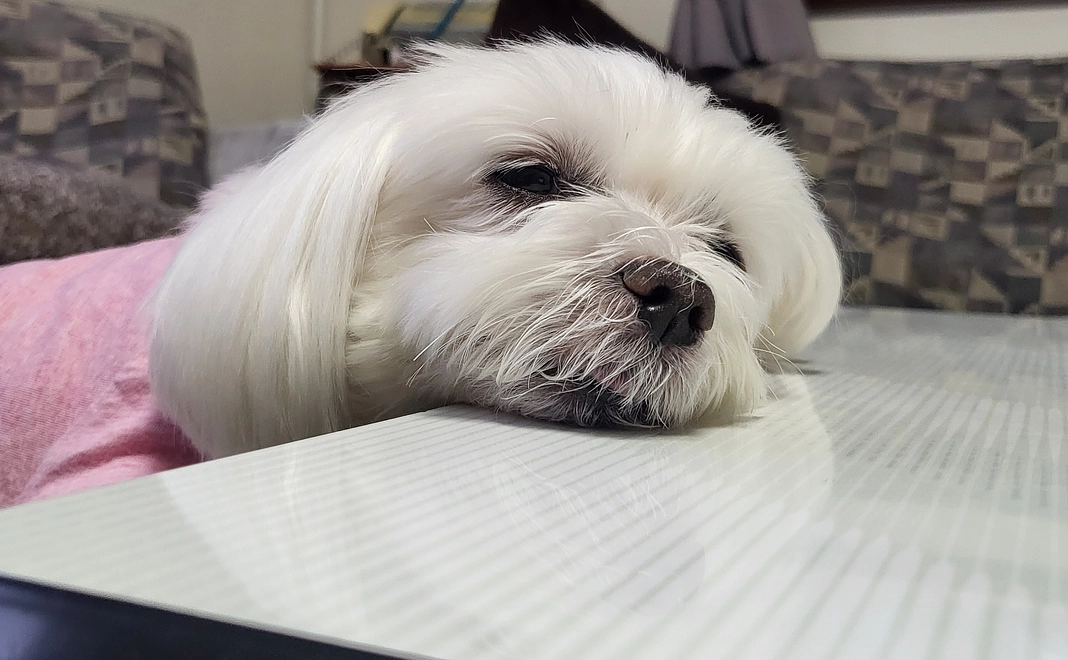 しずくへのご支援1