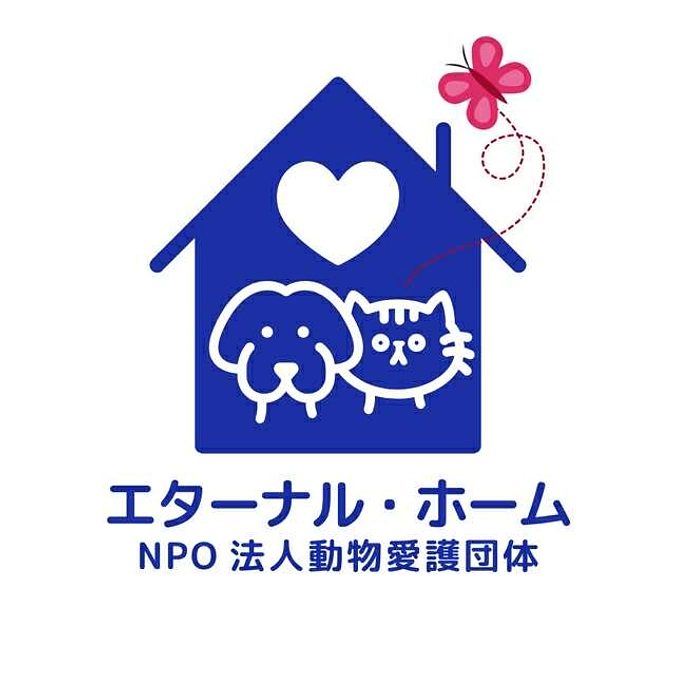 希（まれ）ちゃん日記（希ちゃんをお迎えした日）