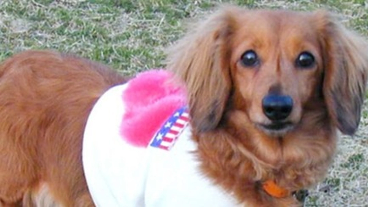 【ご報告と新たな挑戦】残り2日で1000万円達成！デュッカの力を借りてサードゴール1300万円へ！！