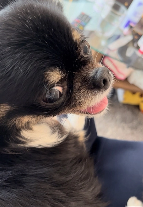 残り5日、達成率77%