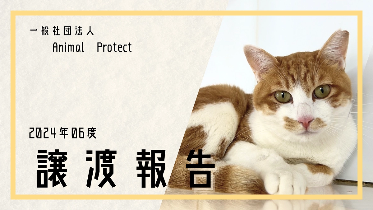 2024年度　６月活動報告