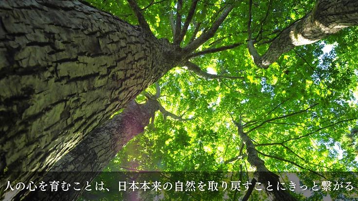 100年後の森の姿をアニメーションで描き、多くの人に伝えたい 9枚目