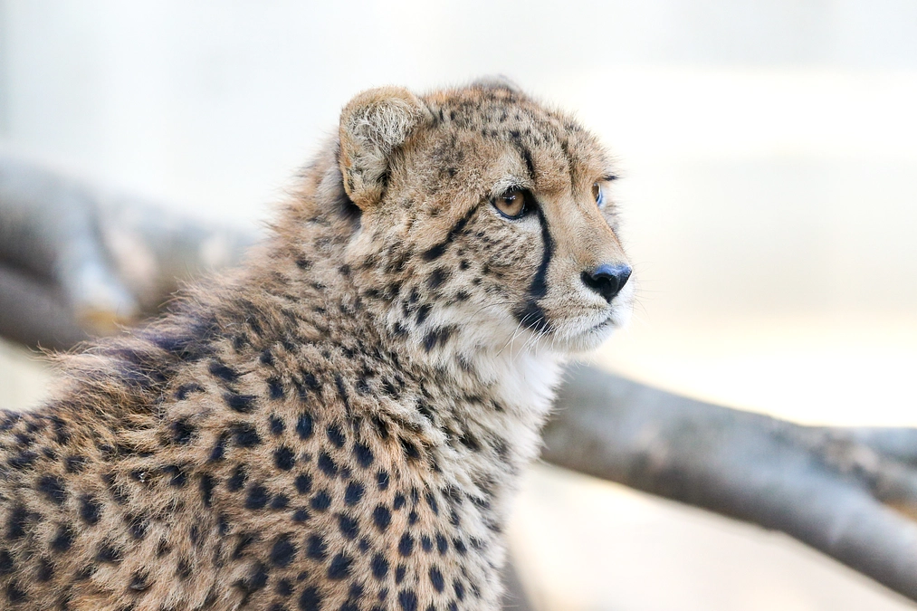 2月29日(木) 本日最終日！ 進捗報告2回目