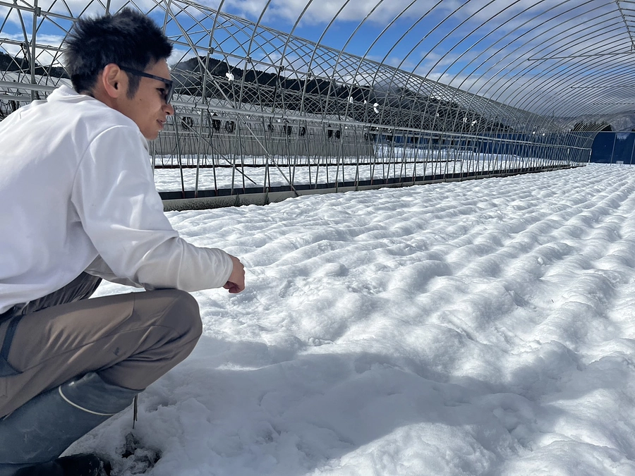 自然栽培に人生をかける理由