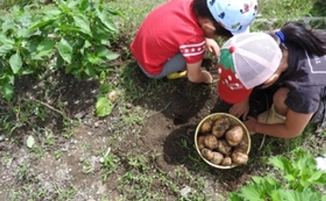 採れたて野菜詰め合わせレギュラーセットとブルーリストバンド