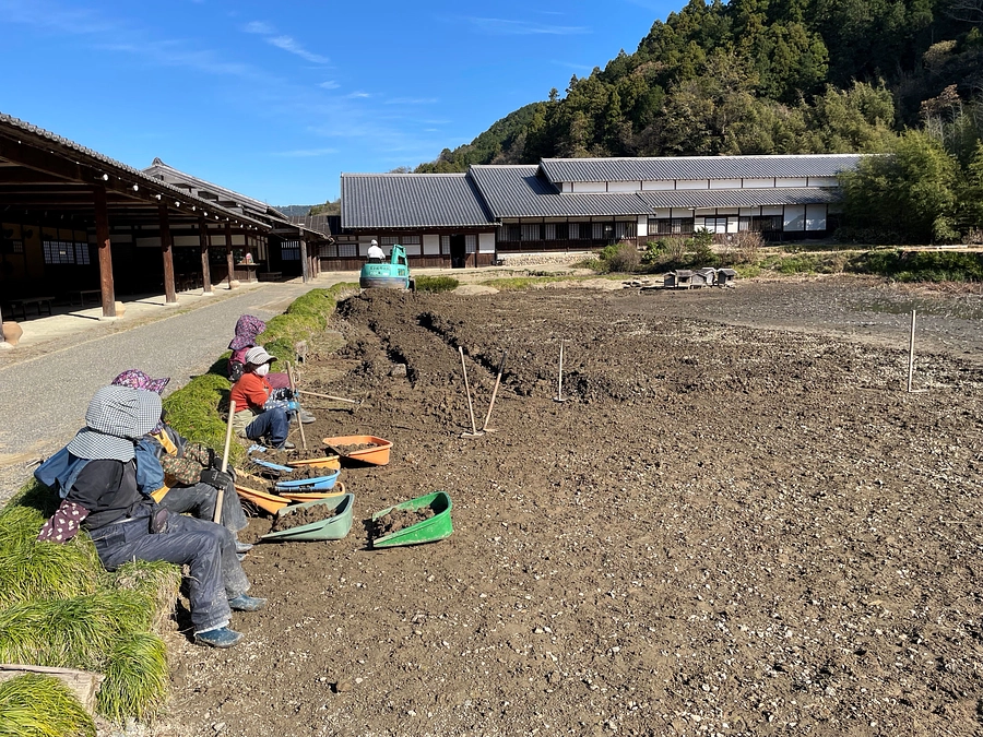 花菖蒲班の一年