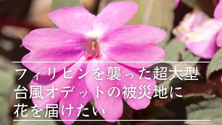 フィリピンを襲った超大型台風オデットの被災地に花を届けたい