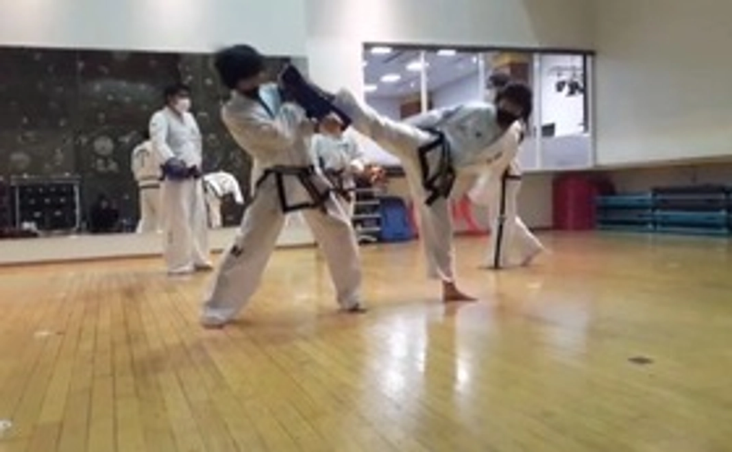 純粋応援プラン 2