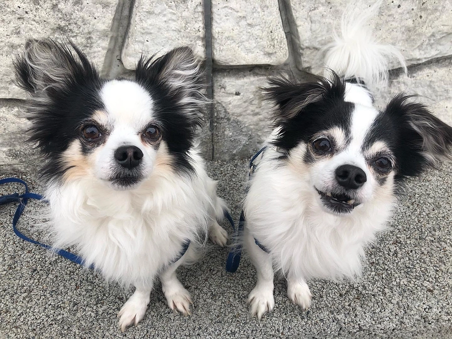 投薬、食事の工夫