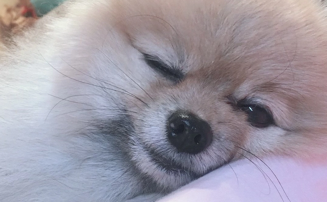 リターン不要の方1