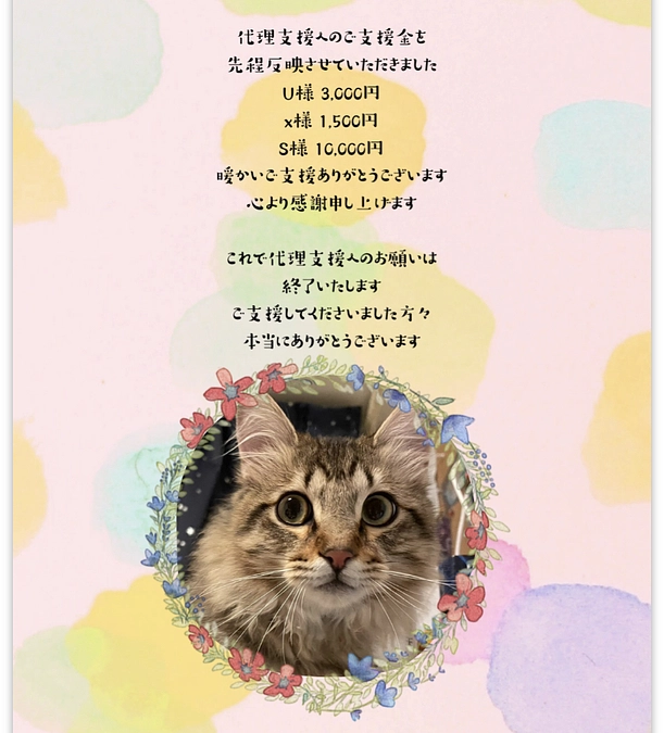 ご支援への感謝と、代理支援へのご支援金の反映、そして本日病院に行ってきました
