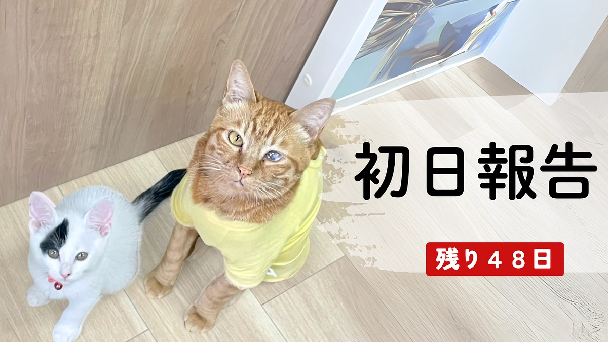 40万円達成！残り48日、ここからが勝負です！