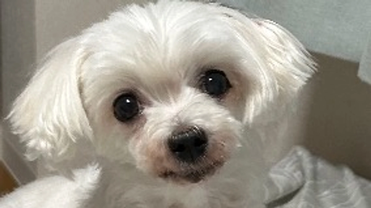 代理支援金 反映のご報告📝