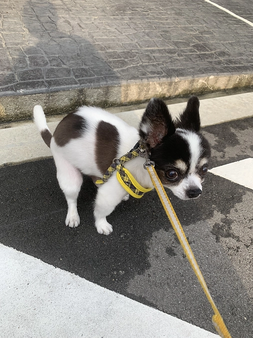 1週間スタートです🍀