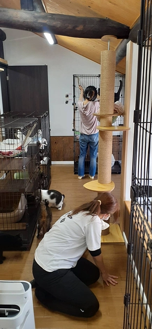 【残すところあと１１日達成まで１５０万です】昨日はねこまち長屋の大掃除でした