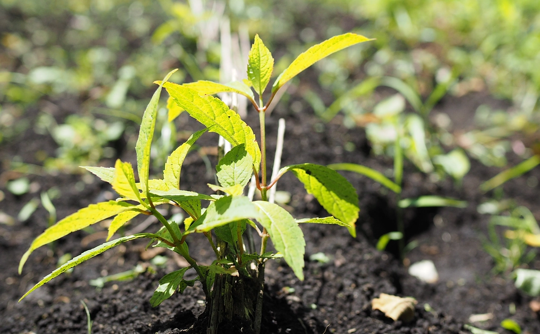 【返礼品なし】 お気持ち支援コース