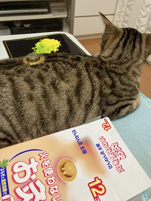 東洋医学を取り入れようと思います