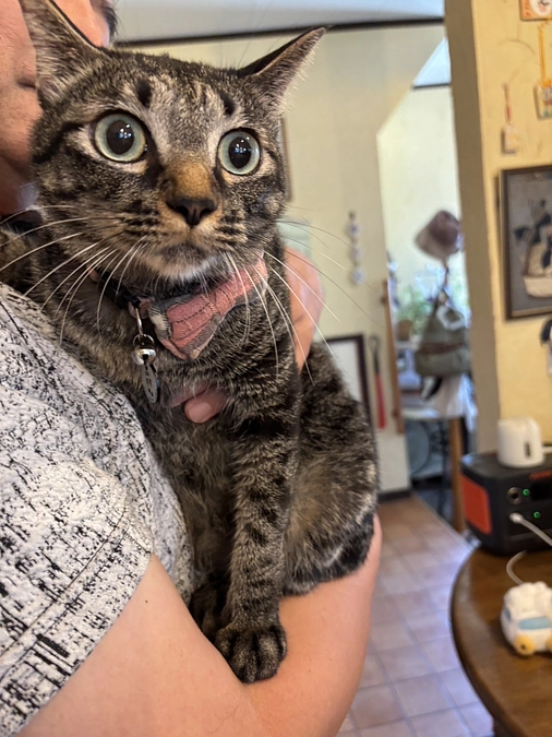 病院に行ってきました