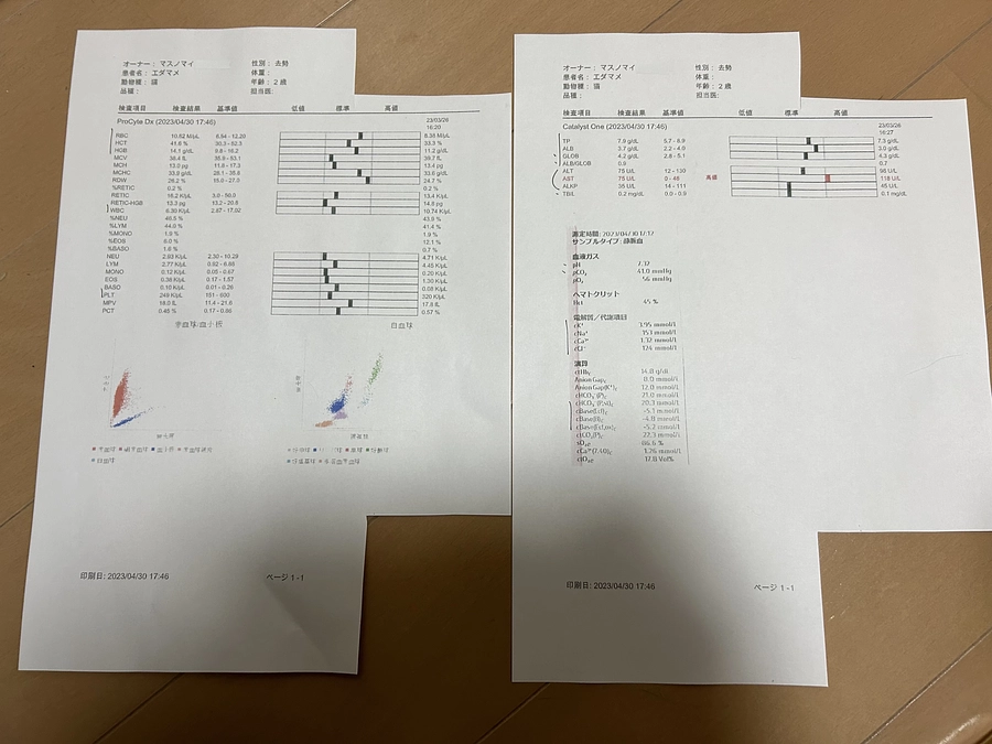 ＊定期検診の検査結果＊