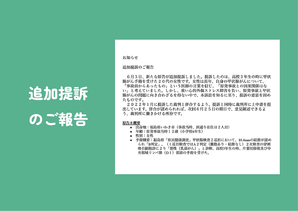 追加提訴のご報告