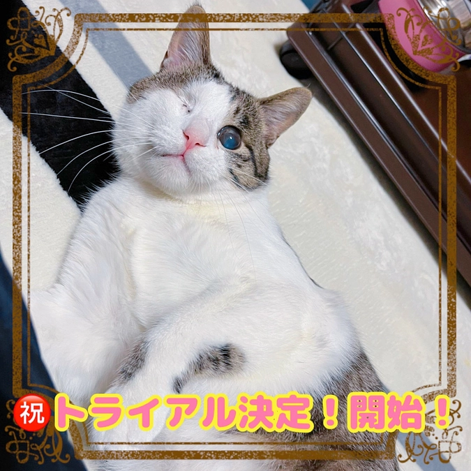 ディン君トライアル開始☆