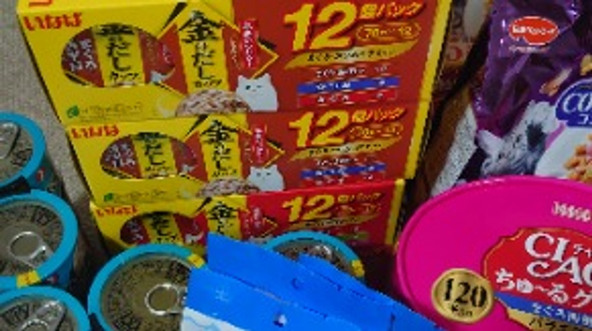 支援金での購入品