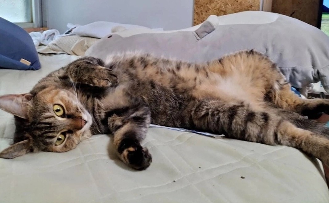 感謝のメール３