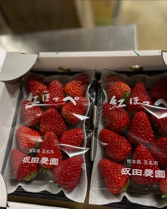 ドローンで水稲の農薬散布を行いました🚁