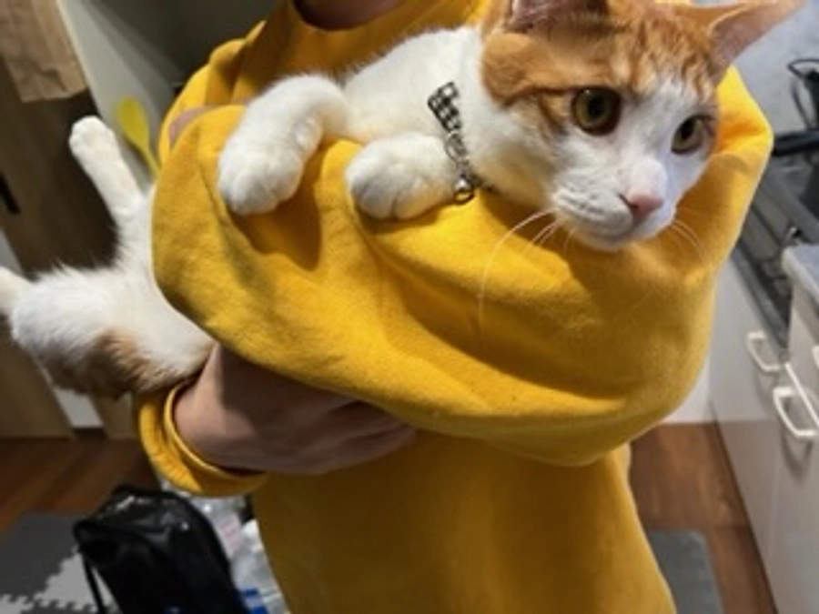 な、な、なんと！！！