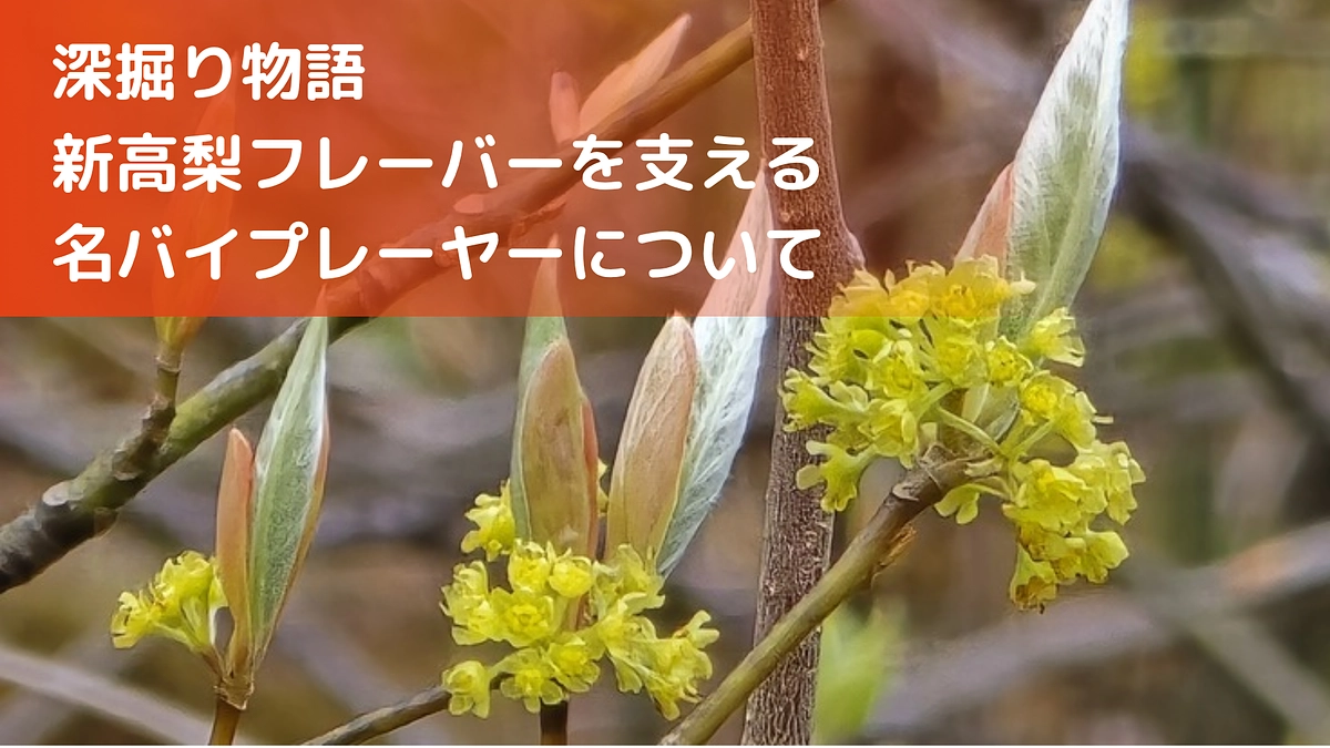 深掘り物語〜新高梨フレーバーを支える名バイプレーヤーについて