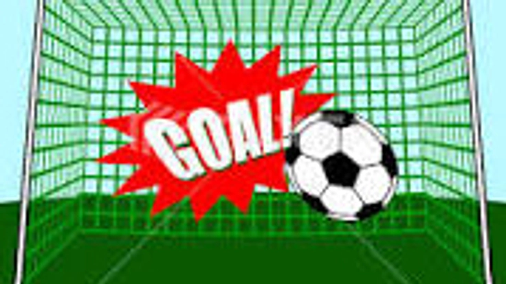 部活動から、クラブに変更するにあたり、ミニゴールの購入を！