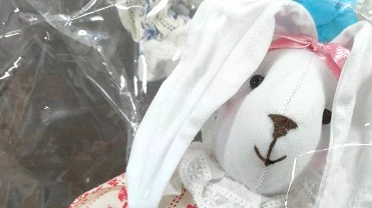 小さなうさぎちゃん　入荷しました🐰